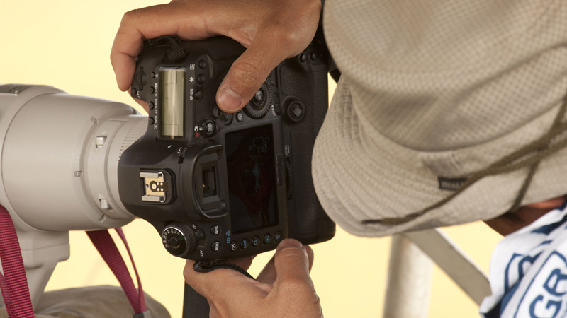 Canon 5D mark III spotted in the wild?