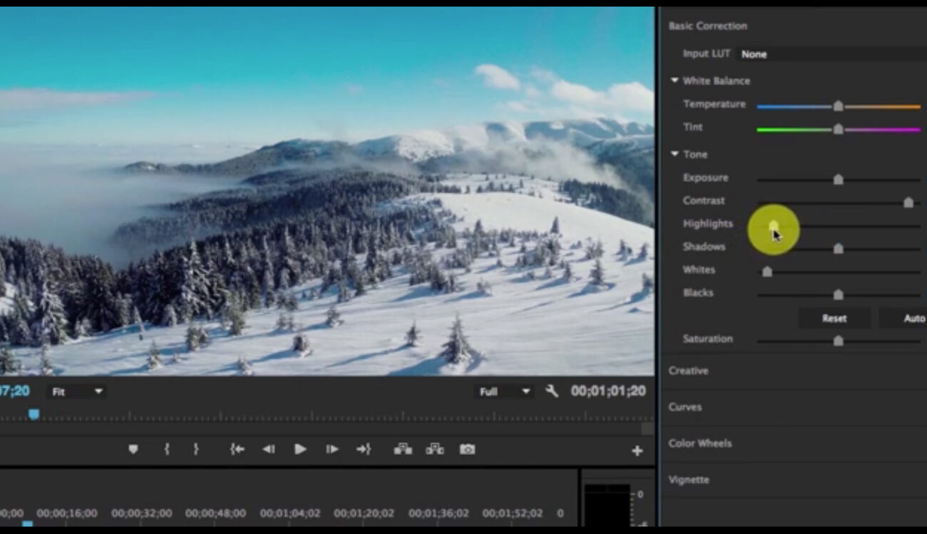 Lumetri Color Panel: An In-Depth Look