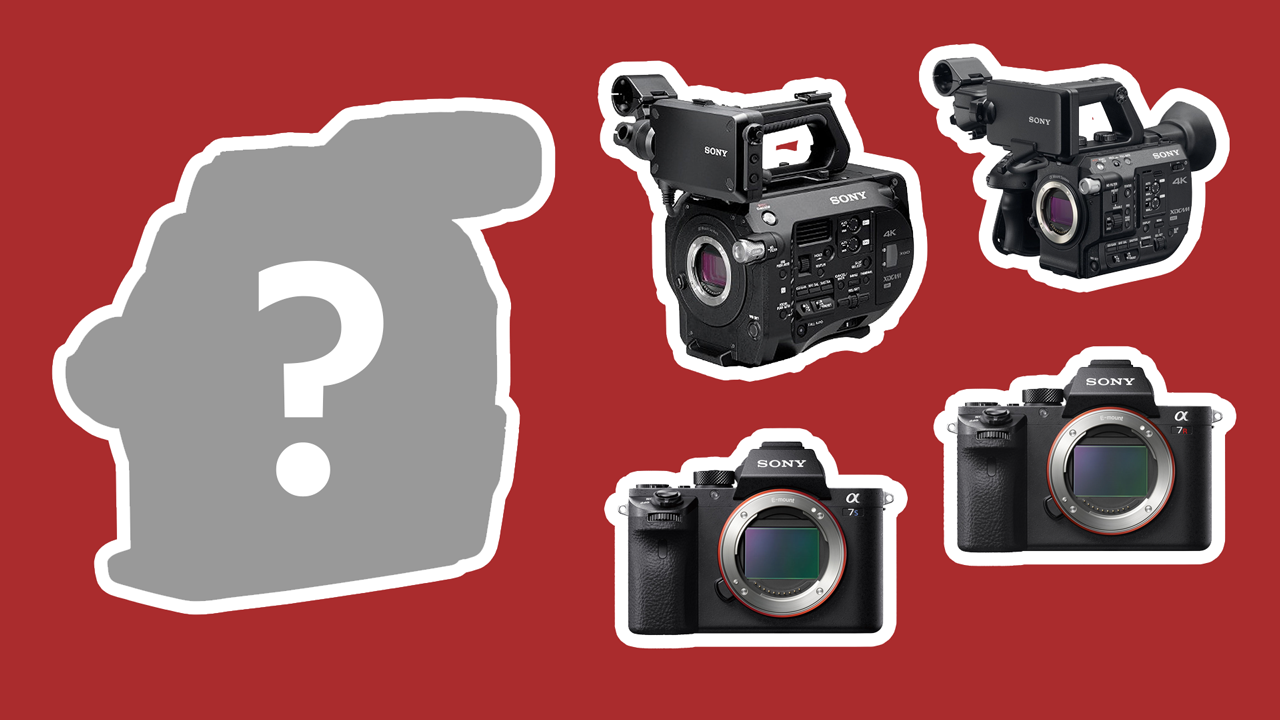 Is the Canon C300 Mark II Still Competitive? A Look at the Best Large Sensor Cameras