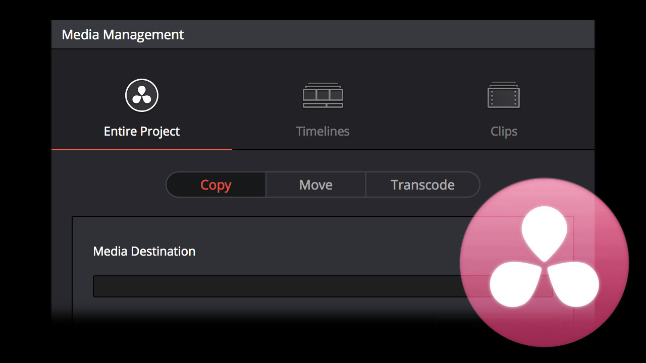 How DaVinci Resolve Media Manager Can Improve Your Workflow
