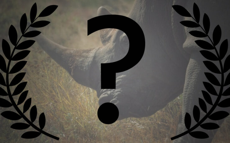 Submitting to Film Festivals and Where to Start