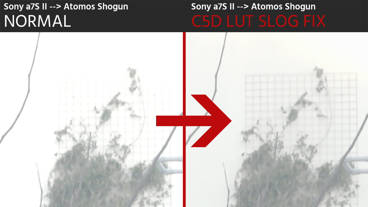 This LUT Fixes the Slog Problem on Sony a7S, Sony a7S II, a7R II, a6300 External Recordings