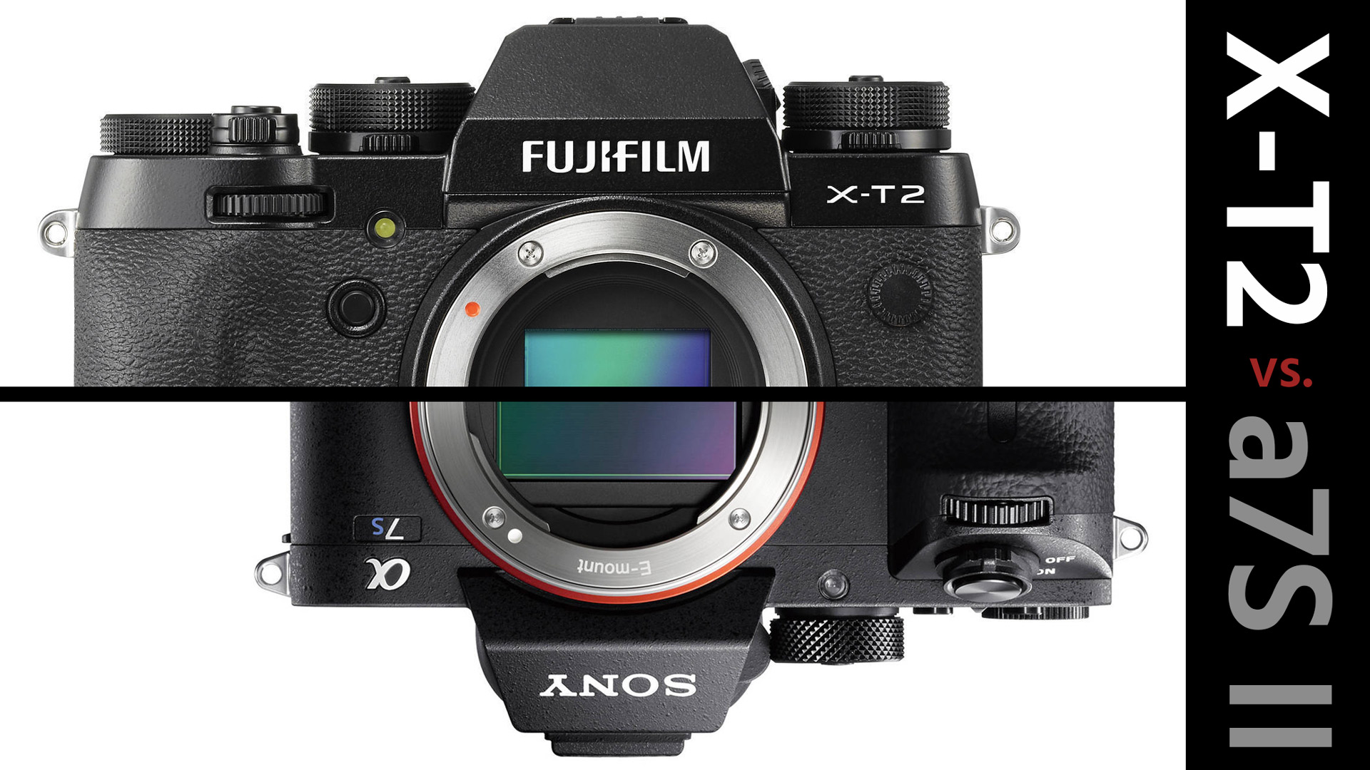 富士フイルムX-T2 vs ソニーα7SII — 4K対決 どちらを買う？