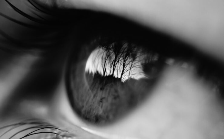 Exploring the Limits - Resolution, HDR, HFR and Human Vision