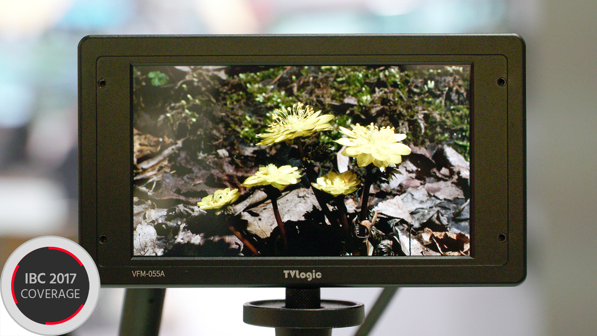 TV LogicがVFM-055Aを発表 － ハイエンド5.5“OLEDモニター