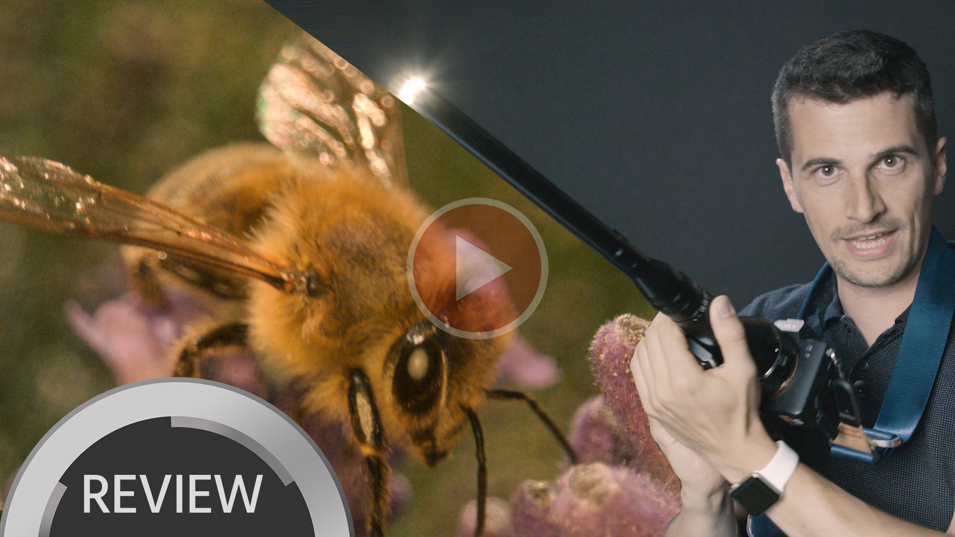 Reseña en Video de Lente Snorkel Macro  – Lente Laowa 24mm f/14 Probe