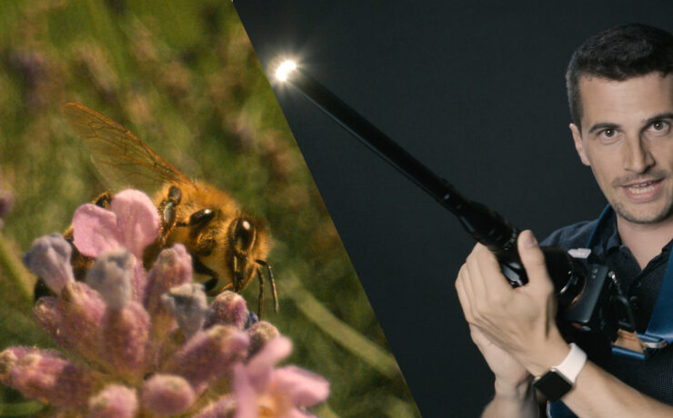 Snorkel Macro Lens Video Review – Laowa 24mm f/14 Probe Lens