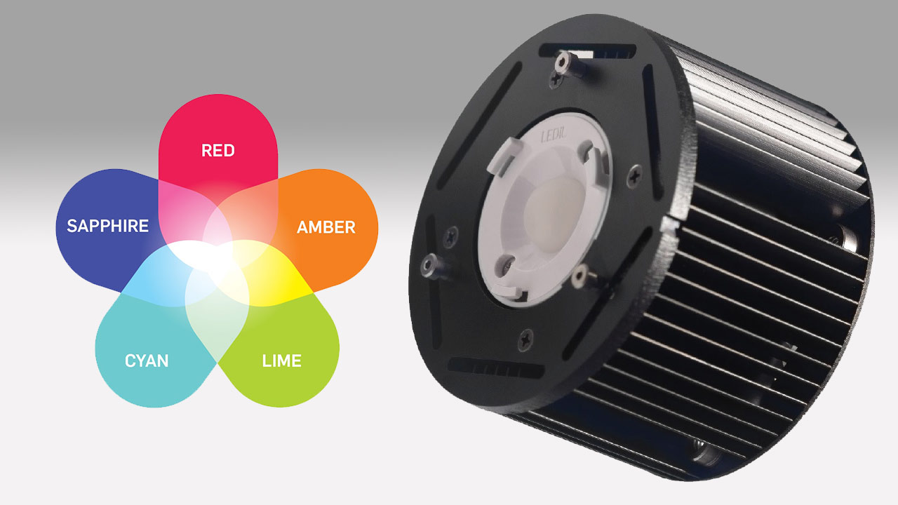 Bumble Bee 25-C – Nueva luz LED tamaño de bolsillo, de Hive Lighting
