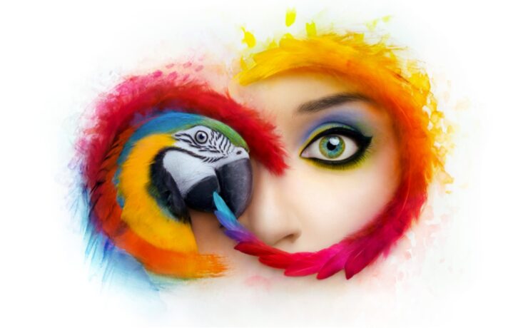 Adobe Changes Availability of Creative Cloud Applications, Concerning?