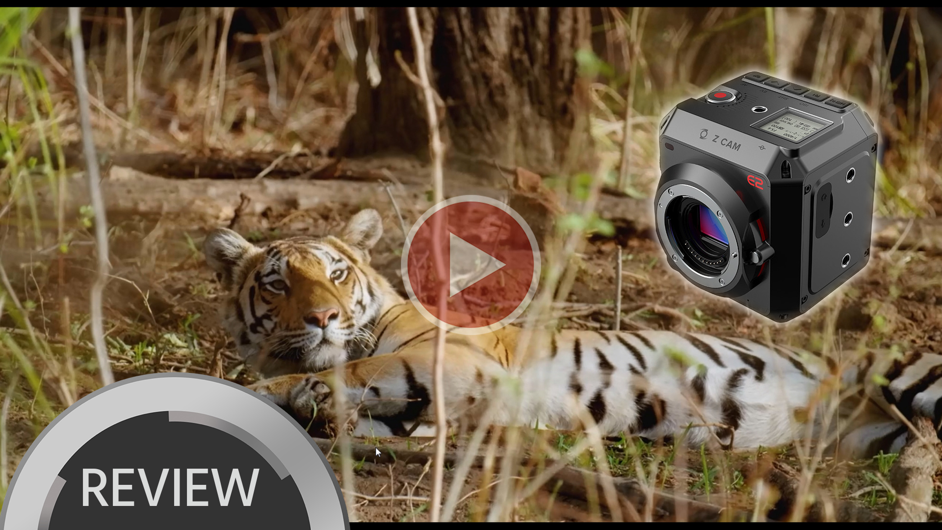 Cámara de cine Z CAM E2 en la naturaleza - Reseña práctica