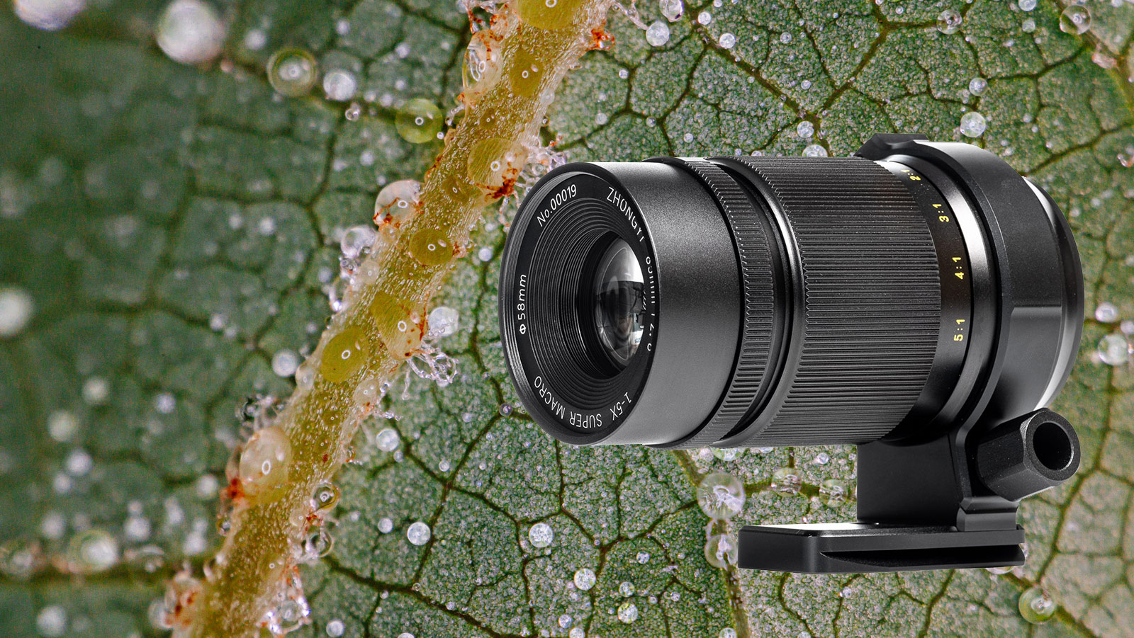 ZY OpticsがMitakon 85mm f/2.8 1-5Xを発売 － スーパーマクロレンズ