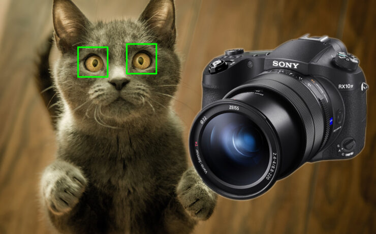 Sony RX10 IV Firmware Update Adds Real-Time Animal Eye AF
