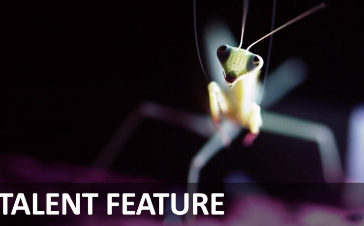 Filming Insects In Macro - Interview with Cokau Lab