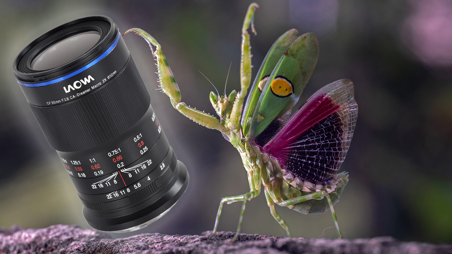 Anuncian lente Laowa 65 mm f/2.8 2X Macro APO para APS-C
