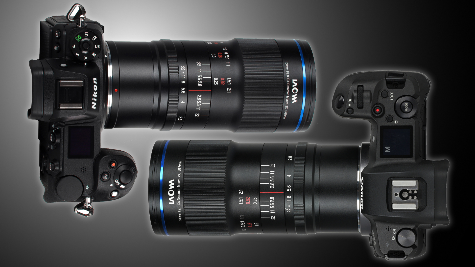 Laowa 100mm f/2.8 Macro 2x de Venus Optics ahora disponible en montura RF y Z