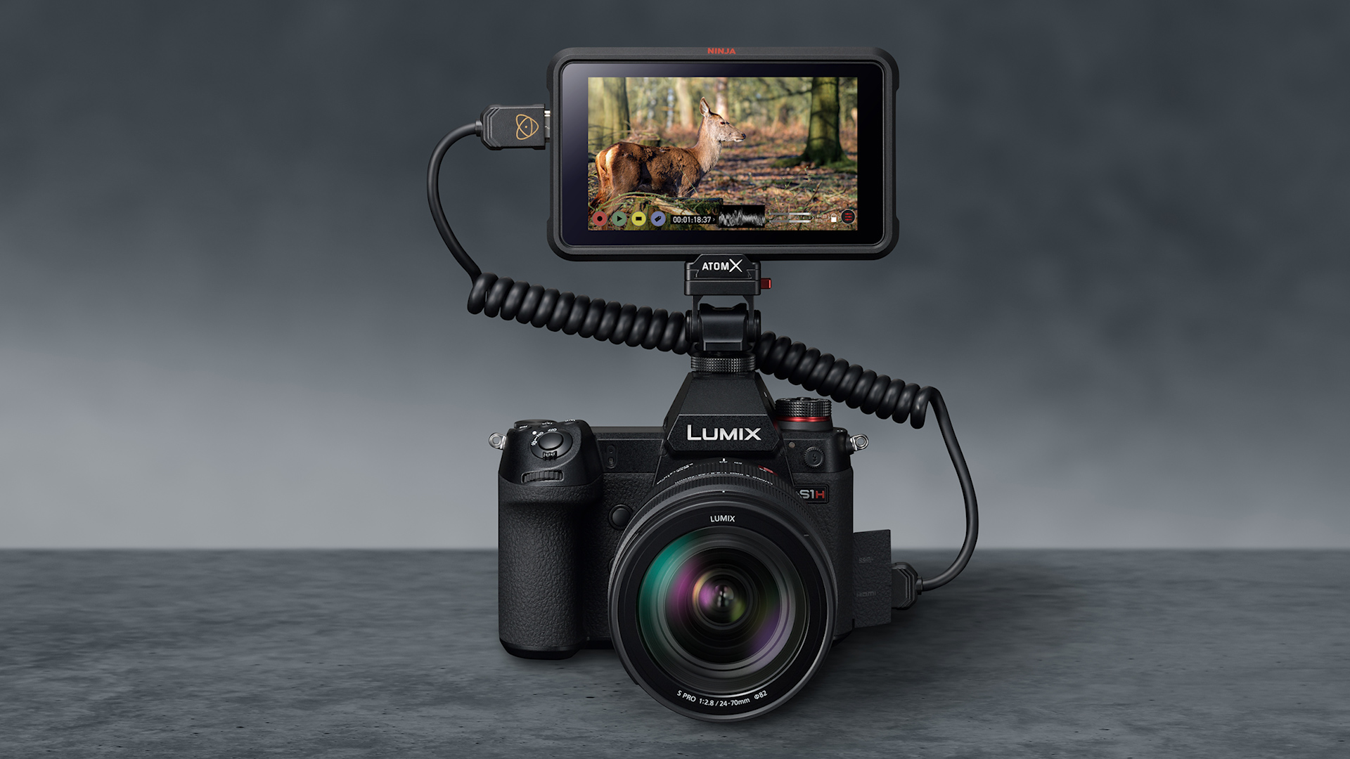 Programa de lanzamiento de firmware de la Panasonic S1H - Salida de datos de video RAW a través de HDMI