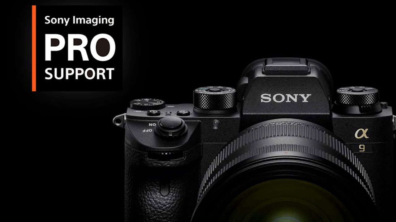 Sony PRO Support Free 6-Month Extension for All US & Canadian Members