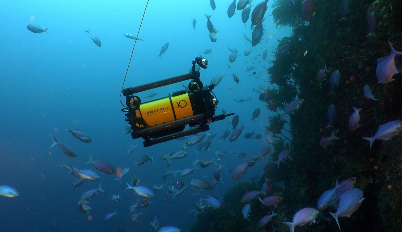 Boxfish Luna - 8K Underwater Drone with Sony Alpha Camera Inside