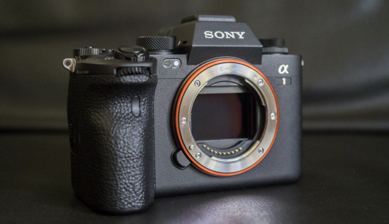 Sony Alpha 1 Review for Photographers – My Personal Take