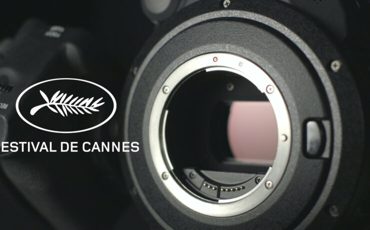 Cannes 2021 - Which Cameras Did Nominees Use?