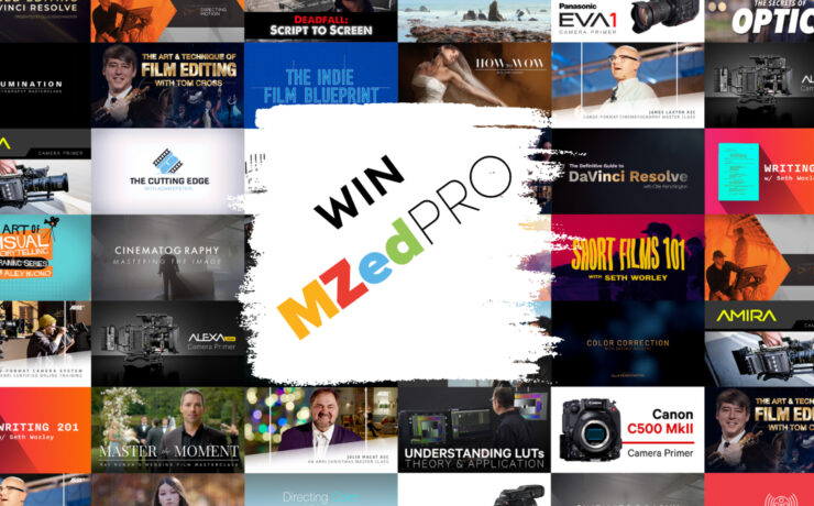 Win 3 x MZed Pro Subscription Worth $349 in our Raffle