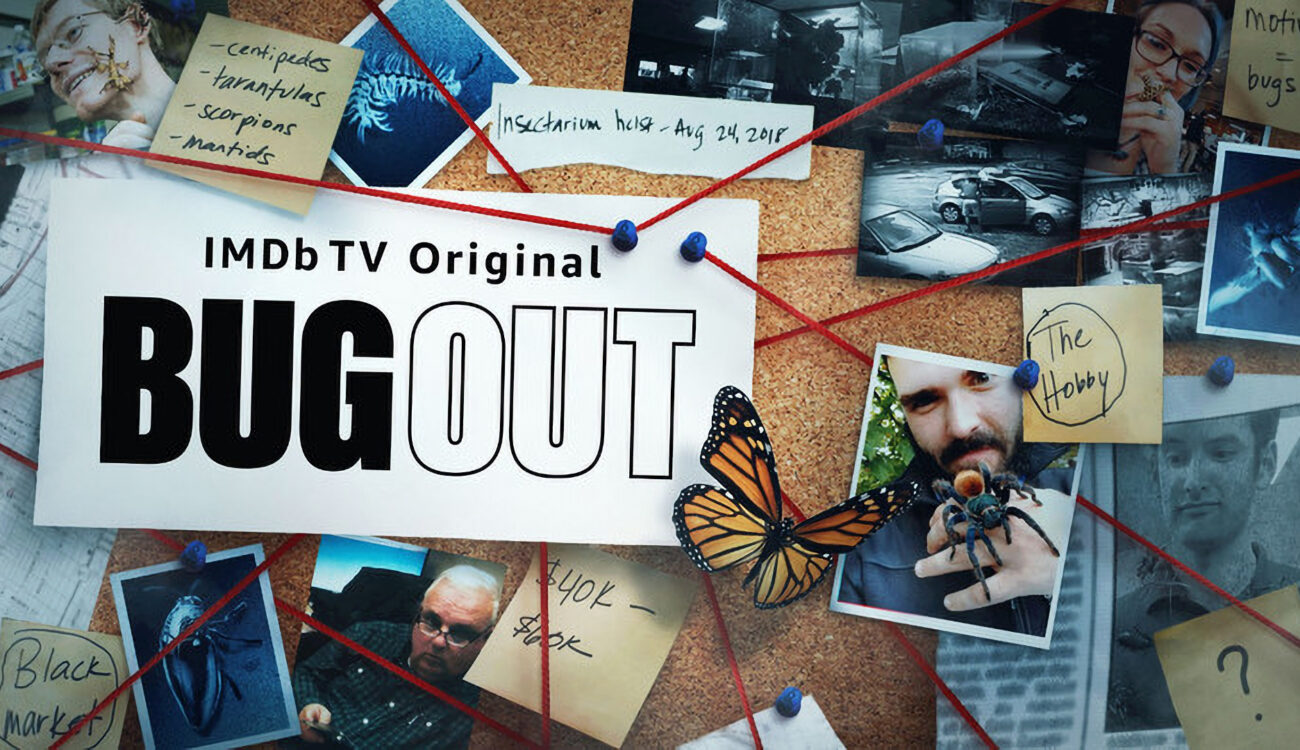 The Making of IMDb TV's Bug Out Docuseries – Our In-Depth Interview