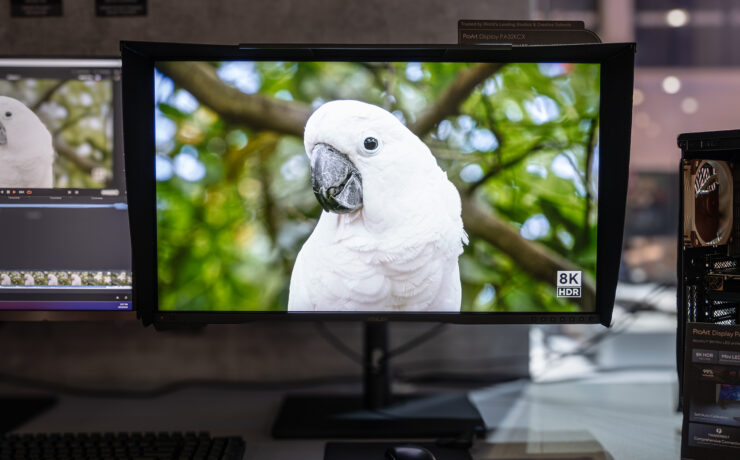 ASUS ProArt Display PA32KCX 32-Inch 8K HDR Mini LED Monitor – First Look